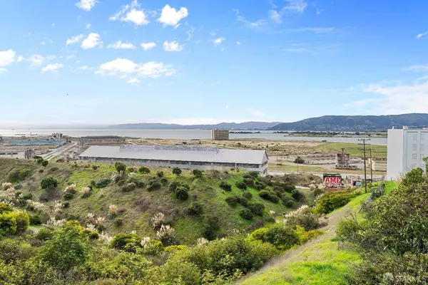 83 Kirkwood AVE, San Francisco, CA 94124