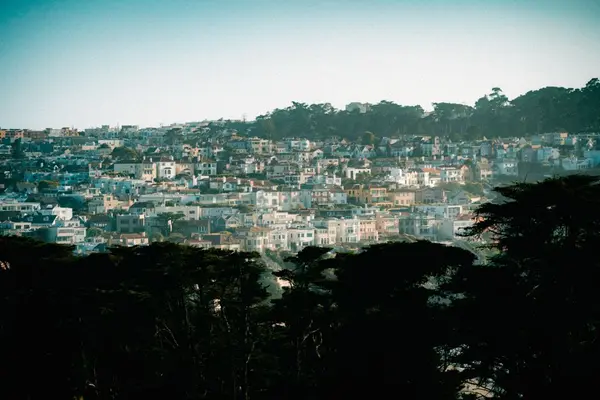New vs. Old SF Homes: Which Holds Value?