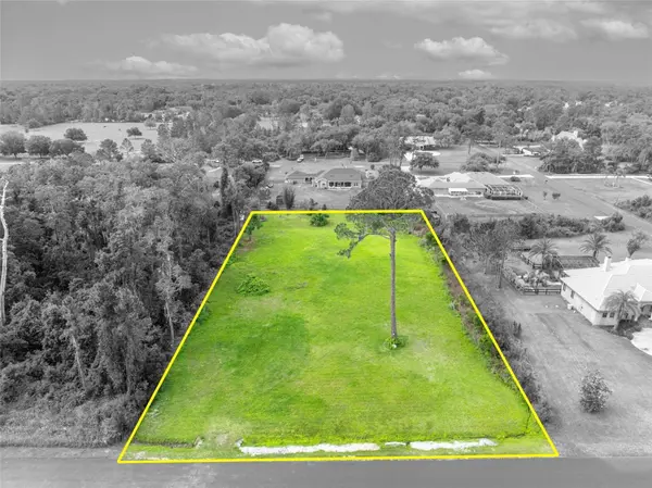 MILL POND RD, Tavares, FL 32778