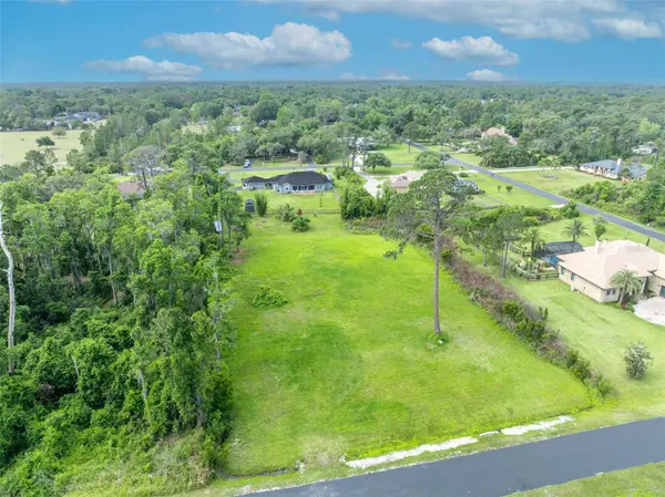 MILL POND RD, Tavares, FL 32778