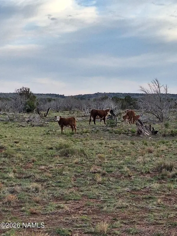 3904 S Santa Clara Road, Williams, AZ 86046