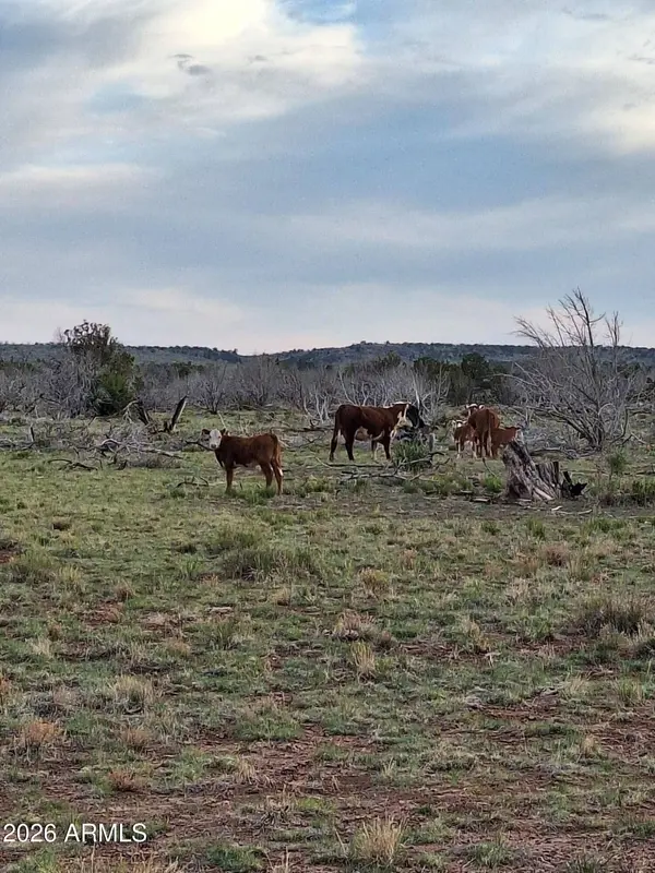 3904 S Santa Clara Road, Williams, AZ 86046