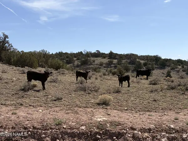 9457 W Bright Sky Trail, Williams, AZ 86046
