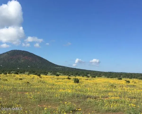 7065 Tulip Trail, Williams, AZ 86046