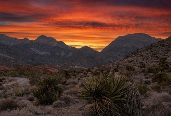 Astra at La Madre Peaks: Inside Summerlin's New Guard-Gated Luxury Community