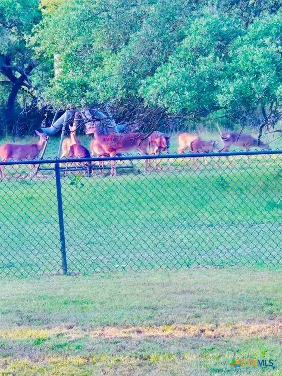 400 Indian Hills RD, Gatesville, TX 76528