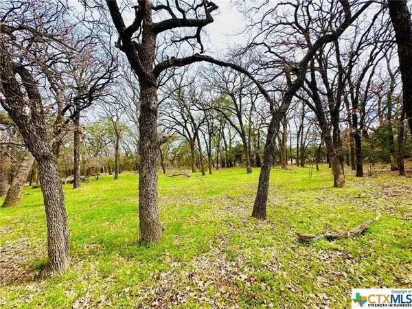 TBD 2 County Rd 107, Gatesville, TX 76528