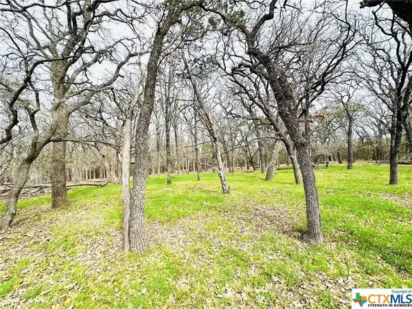 TBD 2 County Rd 107, Gatesville, TX 76528