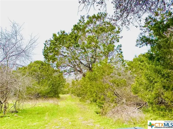TBD 2 County Rd 107, Gatesville, TX 76528