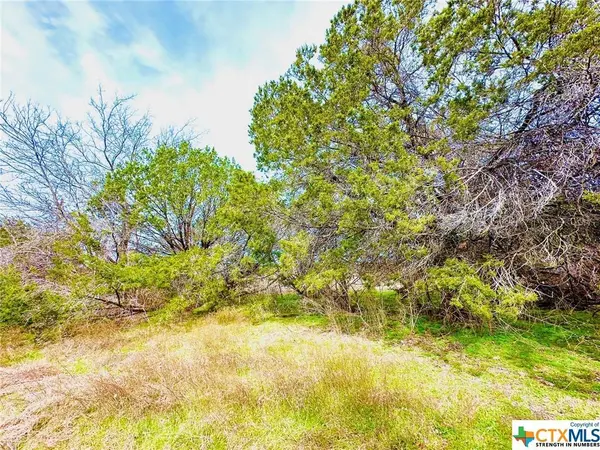 TBD 2 County Rd 107, Gatesville, TX 76528