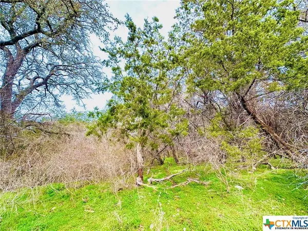 TBD 2 County Rd 107, Gatesville, TX 76528