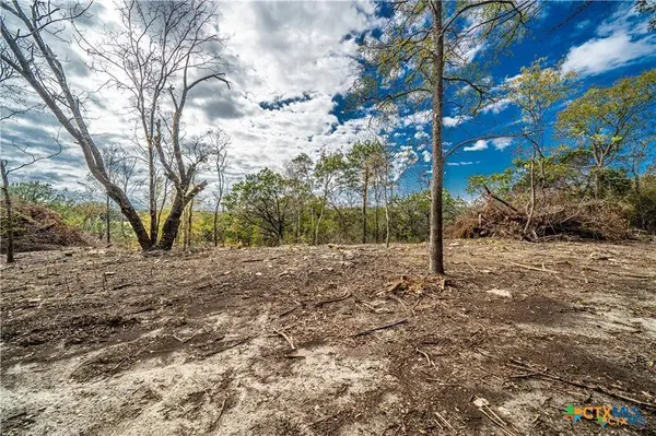 101 Creek Cliff DR, Gatesville, TX 76528