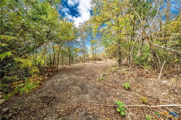 101 Creek Cliff DR, Gatesville, TX 76528