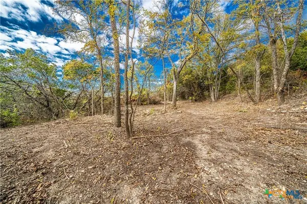 101 Creek Cliff DR, Gatesville, TX 76528
