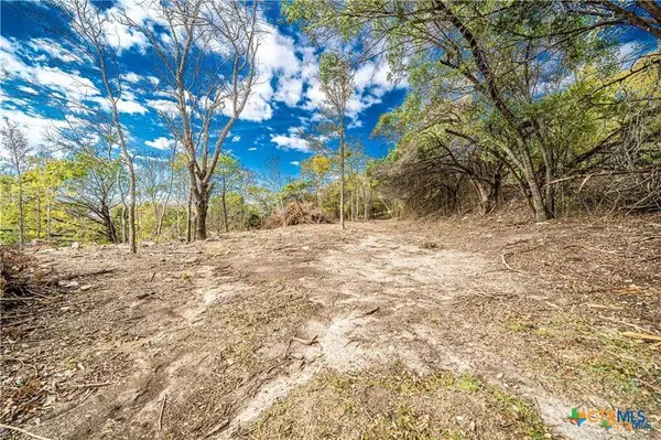 101 Creek Cliff DR, Gatesville, TX 76528