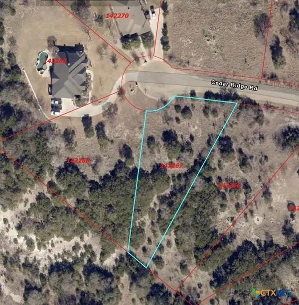 1113 Cedar Ridge RD, Gatesville, TX 76528
