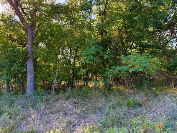 TBD OLD OSAGE, Gatesville, TX 76528