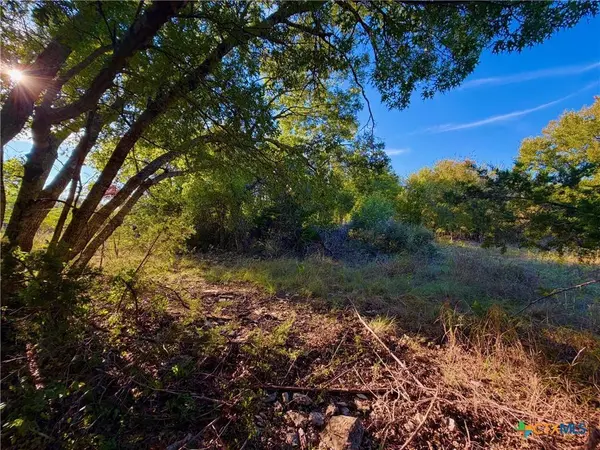 TBD OLD OSAGE, Gatesville, TX 76528