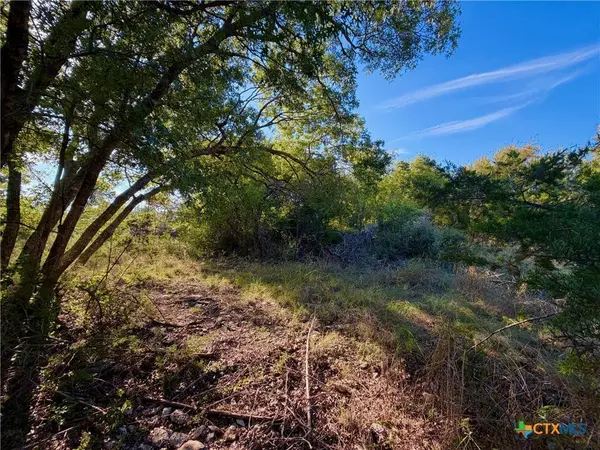 TBD OLD OSAGE, Gatesville, TX 76528