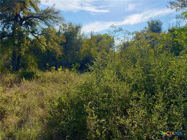 TBD OLD OSAGE, Gatesville, TX 76528