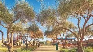 Park District at Riverstone: Complete Guide to 115+ Acres of Parks, Trails & Recreation