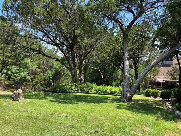 172 Giant Cedar Trail, Whitney, TX 76692