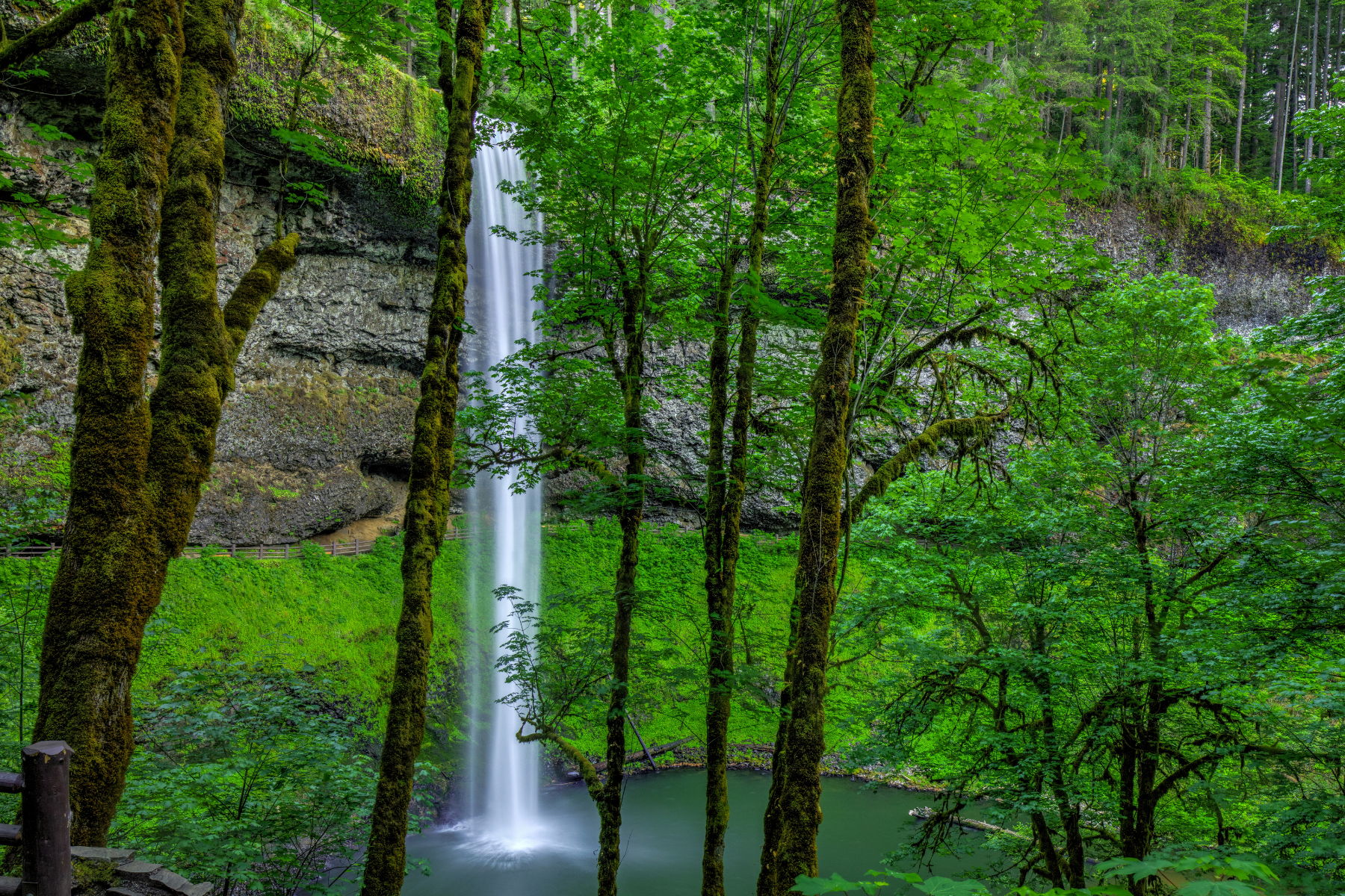 Winter waterfall hike near Portland surrounded by forest in February