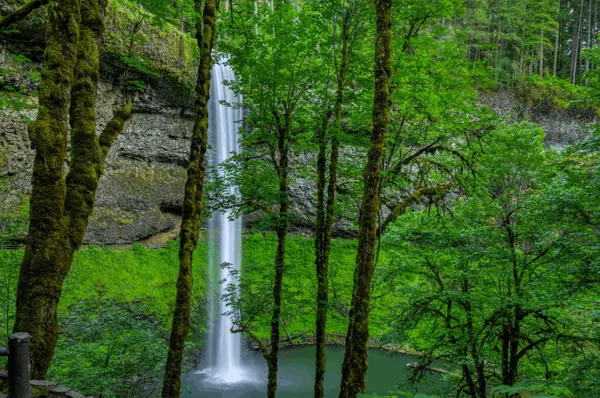 feature image of 10 Fall Rainy Day Hikes Near Portland