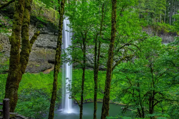 feature image of 10 Rainy Saturday Hikes Near Portland
