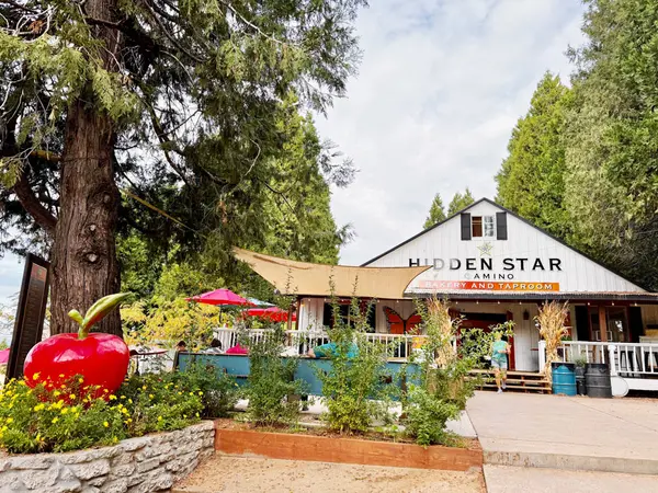 feature image of Should You Wait for Rates to Drop? An El Dorado County Agent’s Honest Answer.