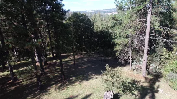 4617 Ringold RD, Diamond Springs, CA 95619