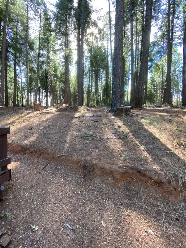 3441 Spirit LN, Pollock Pines, CA 95726