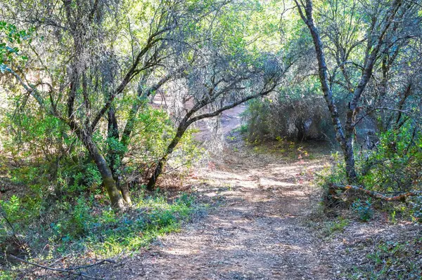 0 Gold Creek LN, Diamond Springs, CA 95619