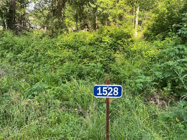 1528 Scroggins LN, Waller, TX 77484
