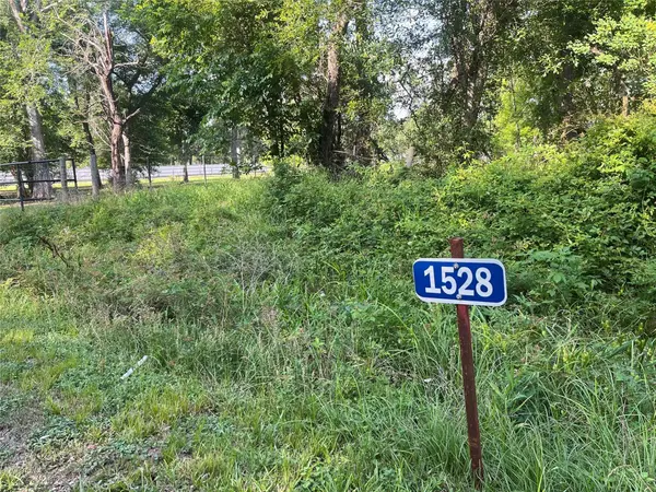1528 Scroggins LN, Waller, TX 77484
