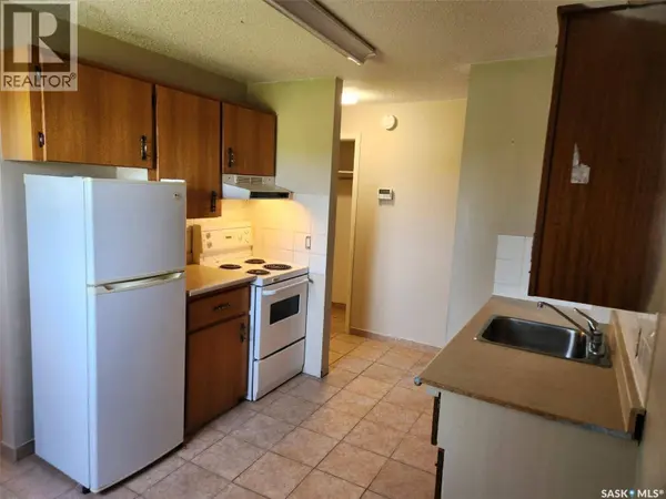 245 3rd STREET NE, Wadena, SK S0A4J0