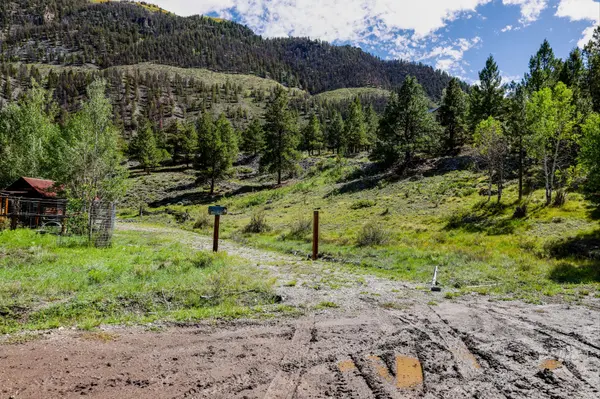 How Do You Choose the Right Lot for Your Future Home?