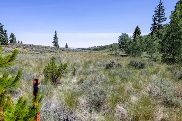 Why More Buyers Are Choosing Land Instead of Existing Homes