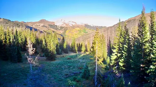 Is a Remote Colorado Hunting & Recreation Cabin Right for You?