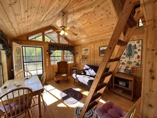 18001 Hinsdale County 30 Road, Lake City, CO 81235