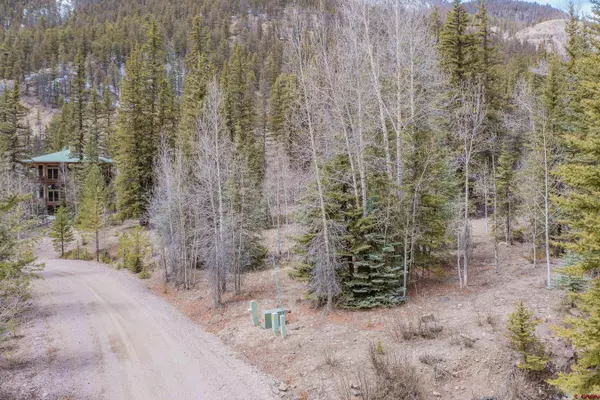 2743 Silver Coin Lane, Lake City, CO 81235