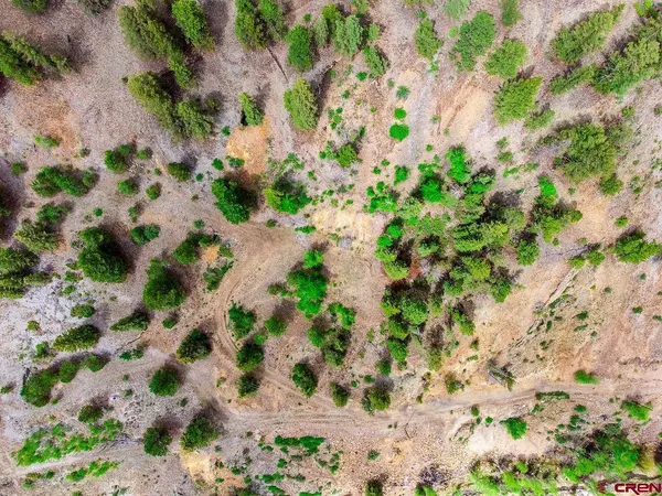 1426 Slumgullion Road, Lake City, CO 81235