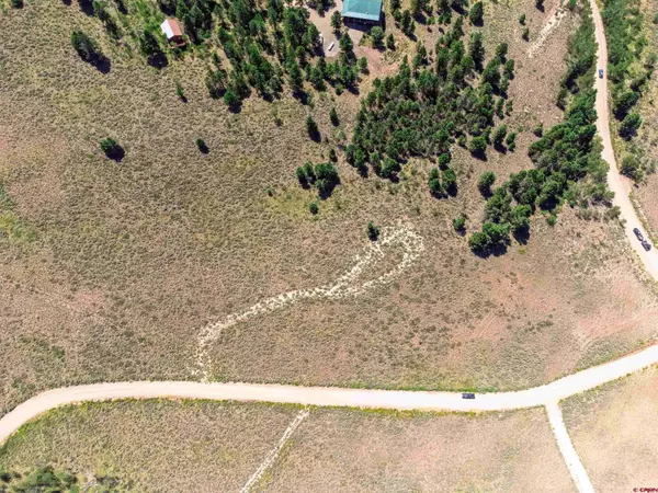 131 Mosquito Trail, Powderhorn, CO 81243