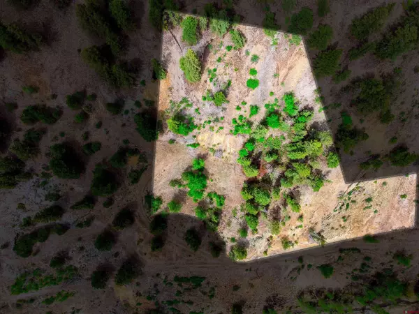 1426 Slumgullion Road, Lake City, CO 81235