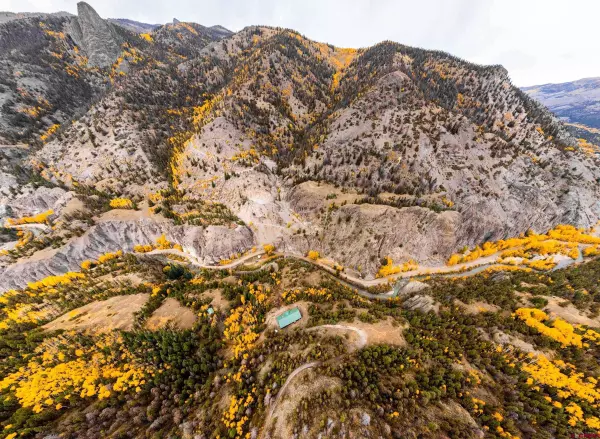 11005300 HIGH MTN, Lake City, CO 81235