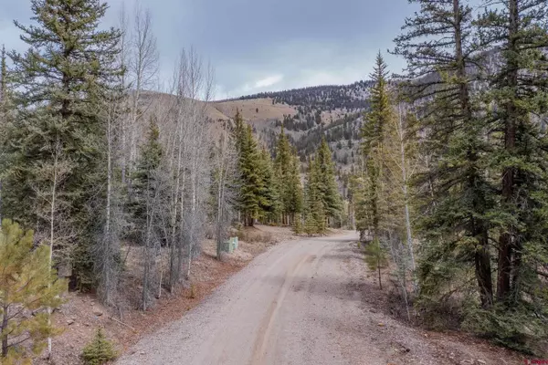 2743 Silver Coin Lane, Lake City, CO 81235