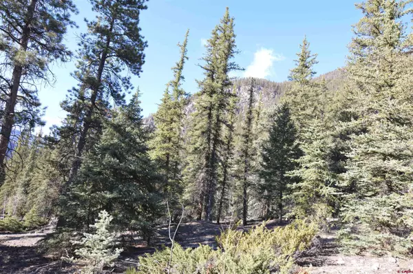 2743 Silver Coin Lane, Lake City, CO 81235