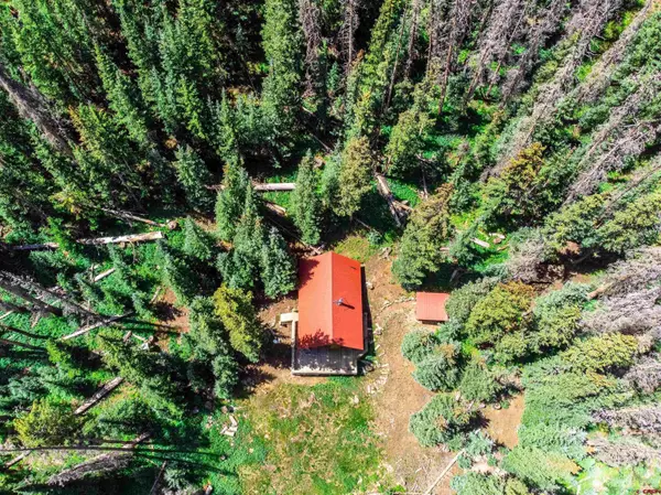 18505 COUNTY RD 30 Road, Lake City, CO 81235