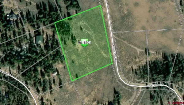 131 Mosquito Trail, Powderhorn, CO 81243