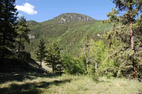 1426 Slumgullion Road, Lake City, CO 81235